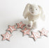 Star Bunting